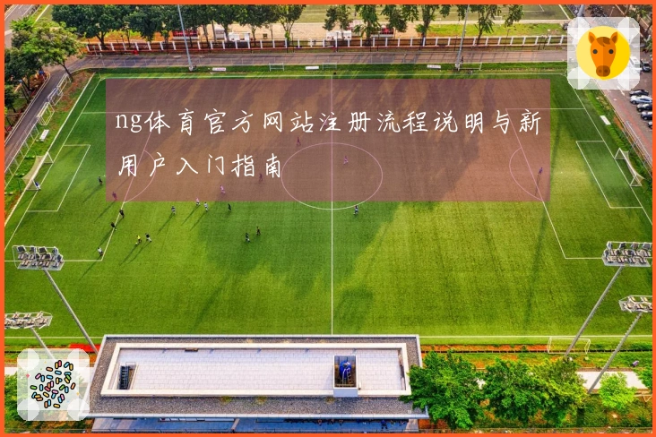 ng体育官方网站注册流程说明与新用户入门指南