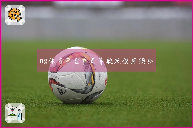 ng体育平台首页导航及使用须知