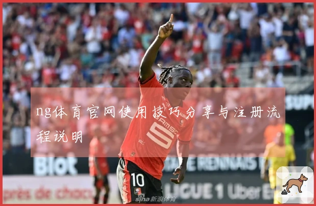 ng体育官网使用技巧分享与注册流程说明