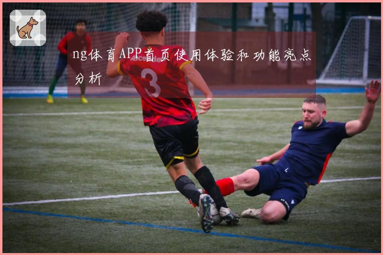 ng体育APP首页使用体验和功能亮点分析