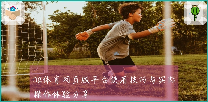 ng体育网页版平台使用技巧与实际操作体验分享