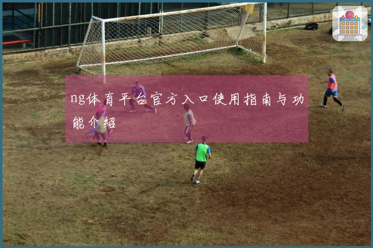 ng体育平台官方入口使用指南与功能介绍