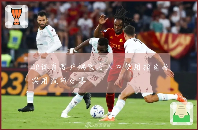ng体育客户端官方入口使用指南与实用技巧分享