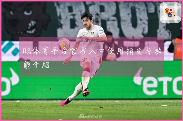 ng体育平台官方入口使用指南与功能介绍